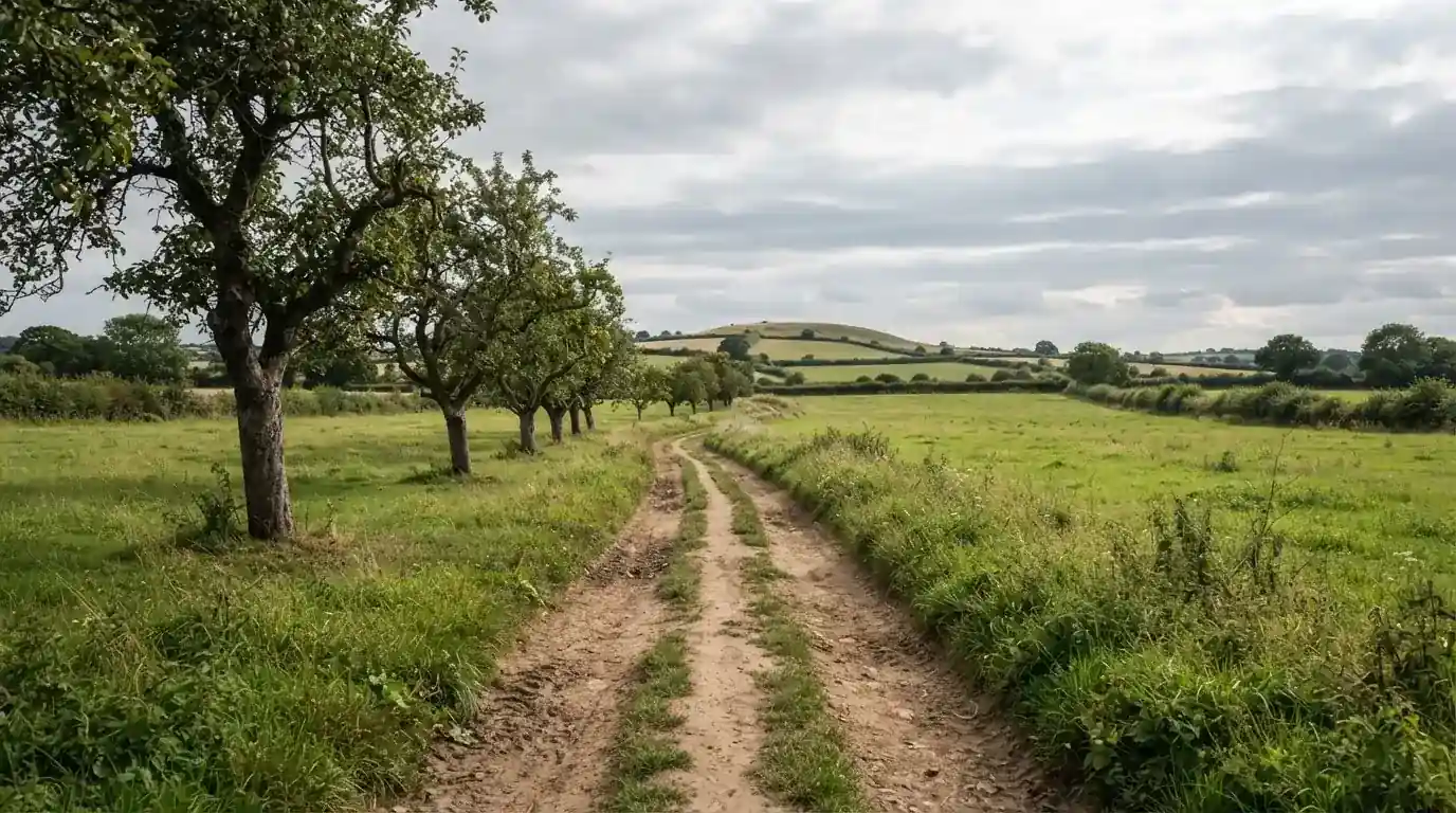 Ein Feldweg führt zwischen Wiesen zu einem Hügel, der Himmel ist bewölkt, am Wegrand stehen Obstbäume.