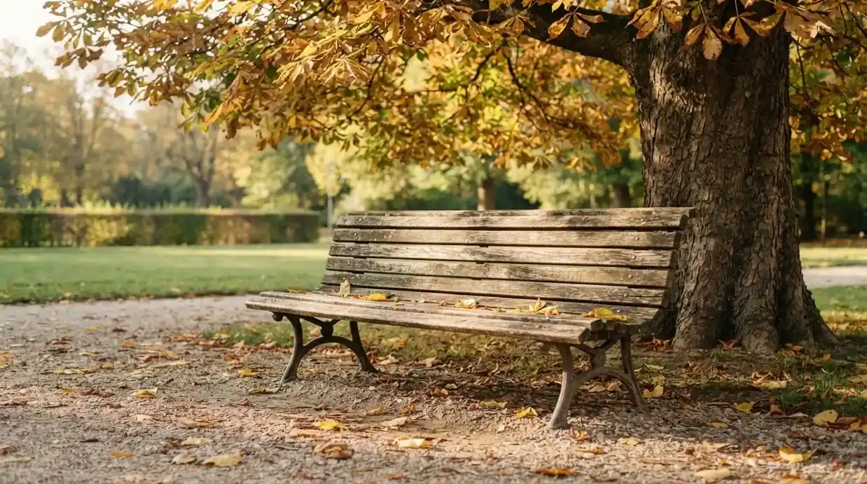 Eine Parkbank unter einer Kastanie im Herbst, auf dem Kiesweg liegen gelbe Blätter.